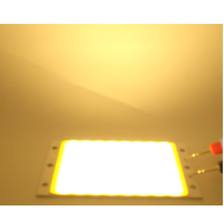 20W LED COB Light Module 94*50mm DC 12V Warm /Natural White