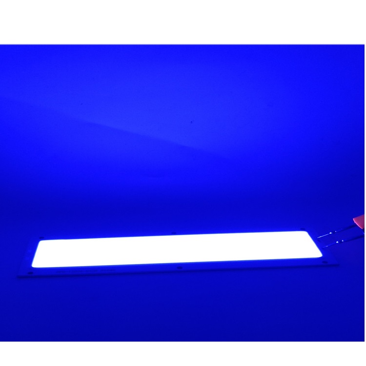 20W LED COB Light Module 120*36mm DC 12V 1.6mA Warm/ Natural White Blue