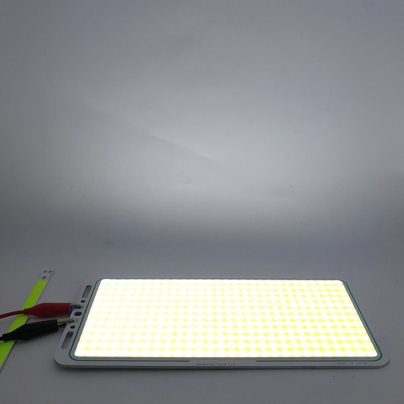 160W LED COB Light Module 220*113mm DC 12V 13A Warm White / White