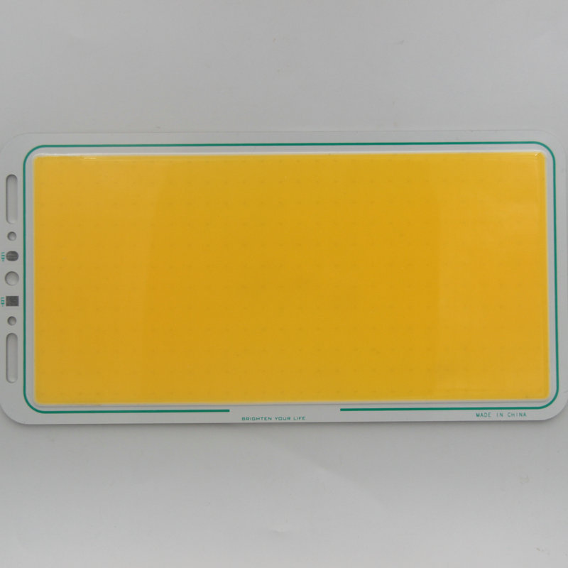 160W LED COB Light Module 220*113mm DC 12V 13A Warm White / White