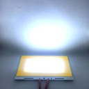 200W LED COB Light Module 310*210mm DC 12V 8000mA Dual Color