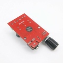 XH-M145 12W*2 Yamaha Digital Amplifier Board 12V Output