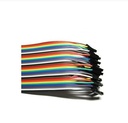 40P 30cm Dupont Wire Female to Female Jumper Wire Colorful