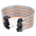 40P 30cm Dupont Wire Female to Female Jumper Wire Colorful